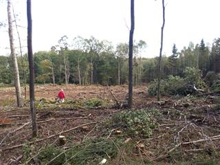 Foto johan Gustafsson