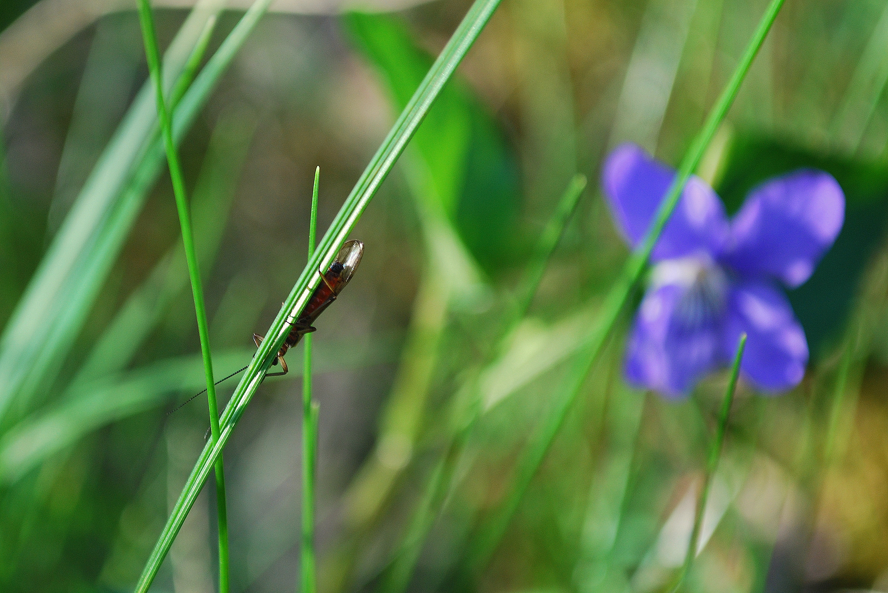 Foto: Kristian Littke