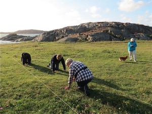 Mittsundsviken 28 augusti 2015. Evastina Blomgren från Föreningen Bohusläns flora, Anita Allendes, hunden Kickan, Inger Olausson och Lasse Johnsson, båda från Tjörn. Foto: Ingemar Jonasson